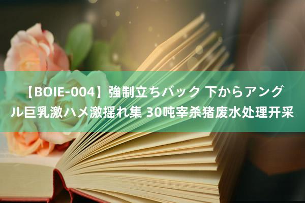 【BOIE-004】強制立ちバック 下からアングル巨乳激ハメ激揺れ集 30吨宰杀猪废水处理开采