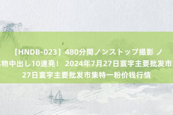 【HNDB-023】480分間ノンストップ撮影 ノーカット編集で本物中出し10連発！ 2024年7月27日寰宇主要批发市集特一粉价钱行情