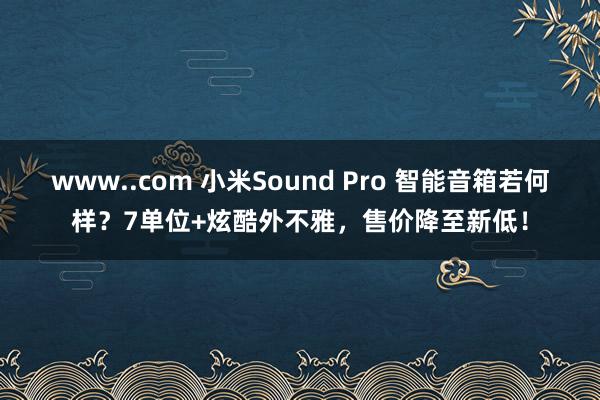 www..com 小米Sound Pro 智能音箱若何样？7单位+炫酷外不雅，售价降至新低！