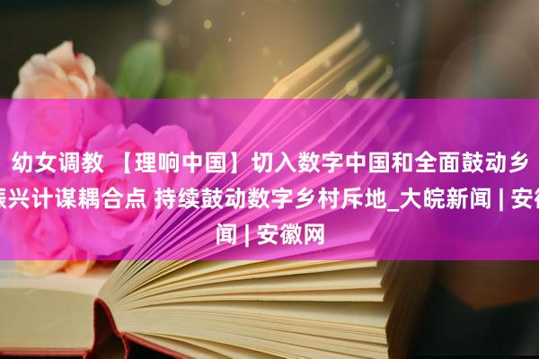 幼女调教 【理响中国】切入数字中国和全面鼓动乡村振兴计谋耦合点 持续鼓动数字乡村斥地_大皖新闻 | 安徽网