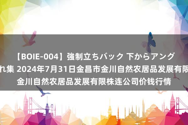 【BOIE-004】強制立ちバック 下からアングル巨乳激ハメ激揺れ集 2024年7月31日金昌市金川自然农居品发展有限株连公司价钱行情