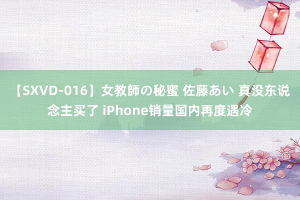 【SXVD-016】女教師の秘蜜 佐藤あい 真没东说念主买了 iPhone销量国内再度遇冷