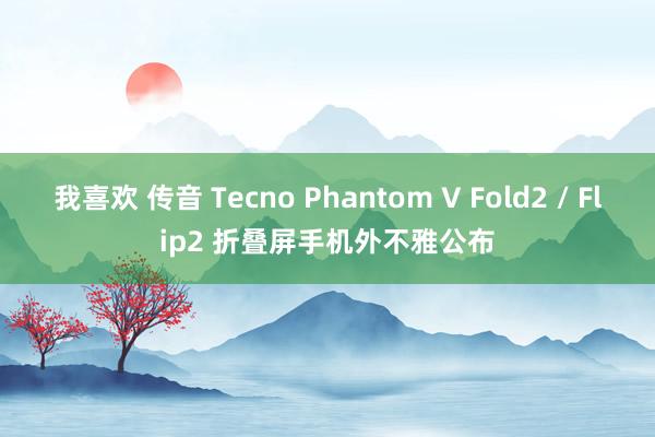 我喜欢 传音 Tecno Phantom V Fold2 / Flip2 折叠屏手机外不雅公布