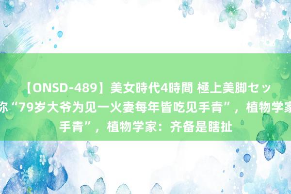 【ONSD-489】美女時代4時間 極上美脚セックス 大V发文称“79岁大爷为见一火妻每年皆吃见手青”，植物学家：齐备是瞎扯