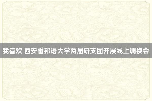 我喜欢 西安番邦语大学两届研支团开展线上调换会