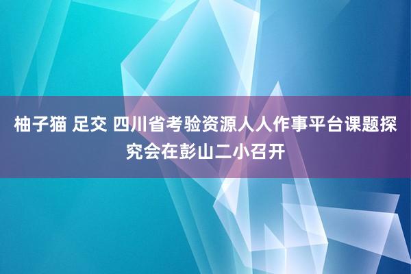 柚子猫 足交 四川省考验资源人人作事平台课题探究会在彭山二小召开